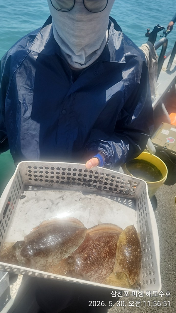 IMG20260530_115651.jpg