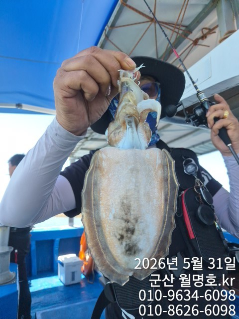 8037.jpg