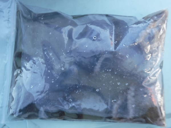 DSCF5691.JPG