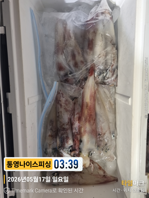 2026-05-17 03.39.27__(제목-통영나이스피싱).jpg