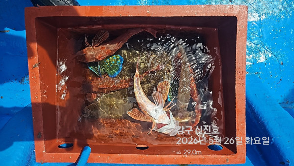 신신낚시 강구점 신신호_사진_20260526_9.jpg
