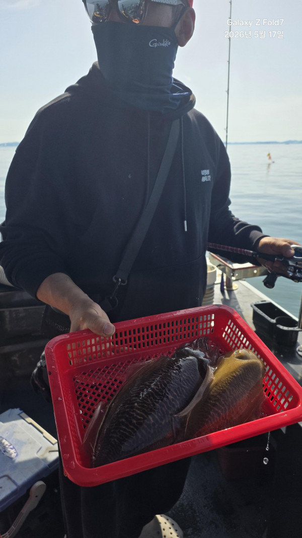 23185.jpg