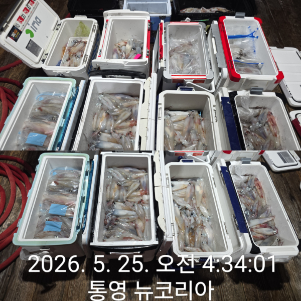 1000079713.jpg