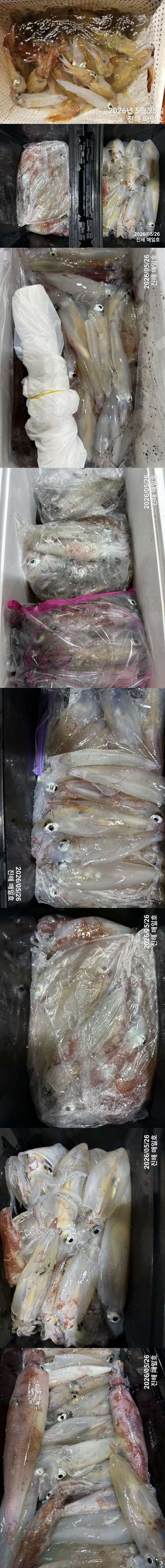 왕한치2.jpg