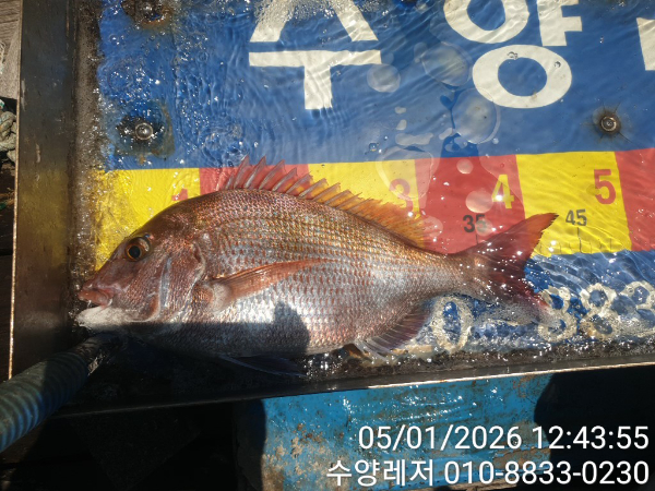 TimePhoto_20260501_124355.jpg
