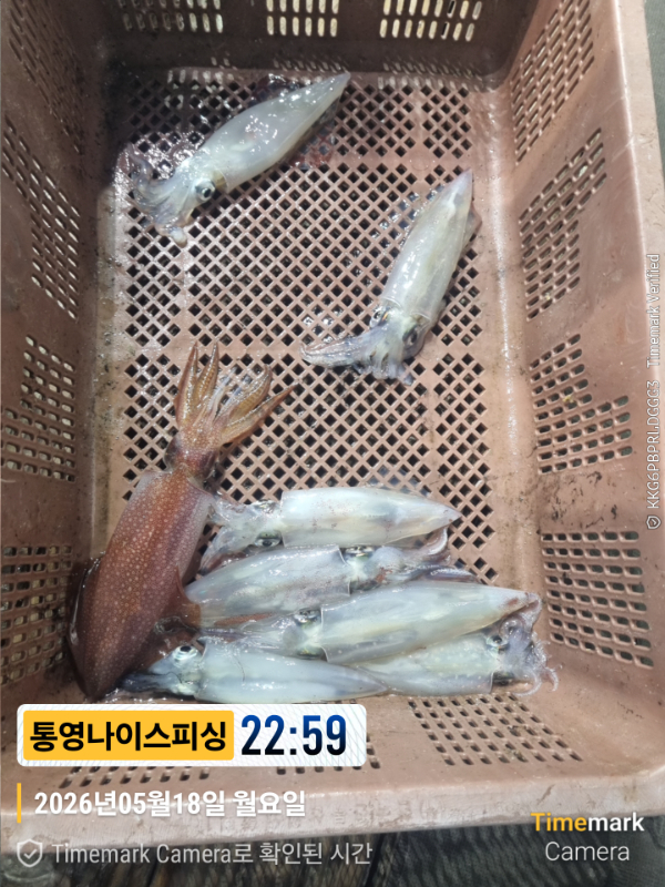 2026-05-18 22.59.10__(제목-통영나이스피싱).jpg