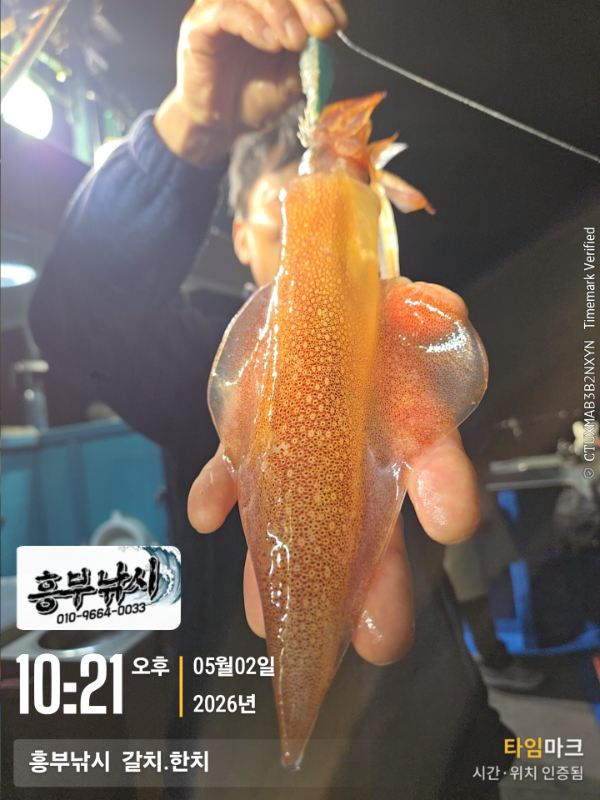 2026-05-02 10.21.15__(-흥부낚시  갈치.한치).jpg