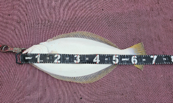1000054187.jpg
