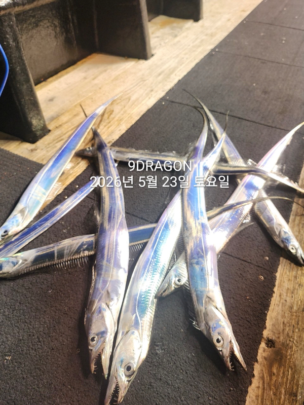 4E23B65A-C222-4B9C-AFB7-6C370AEDD90F.jpeg