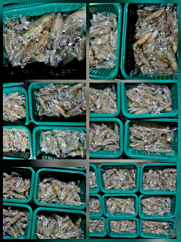 1000113086.jpg
