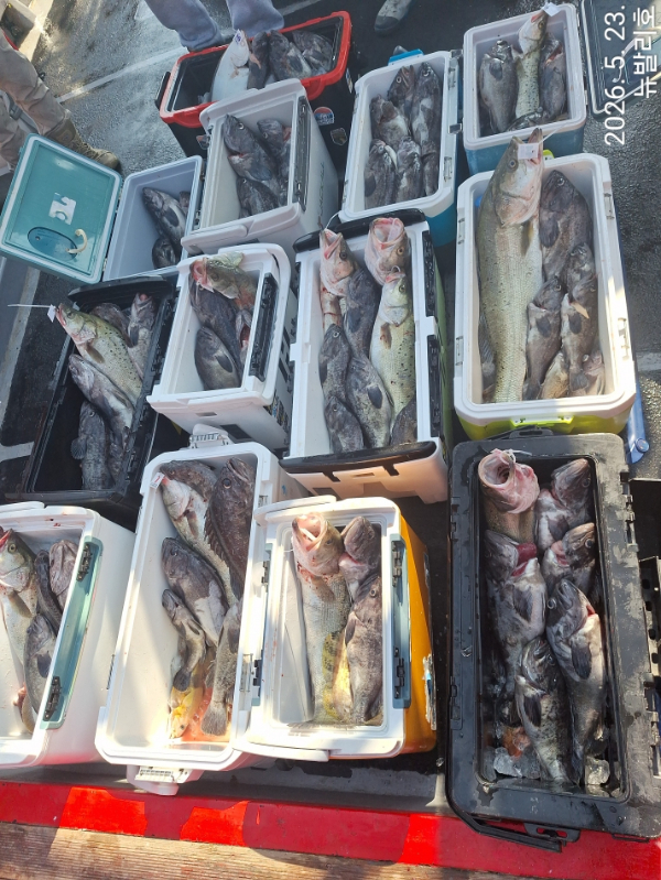 [크기변환]KakaoTalk_20260523_164629702_05.jpg