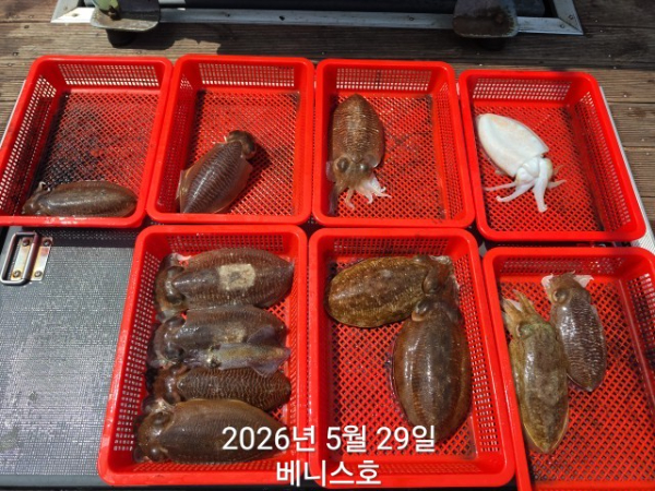KakaoTalk_20260529_142426102_01.jpg