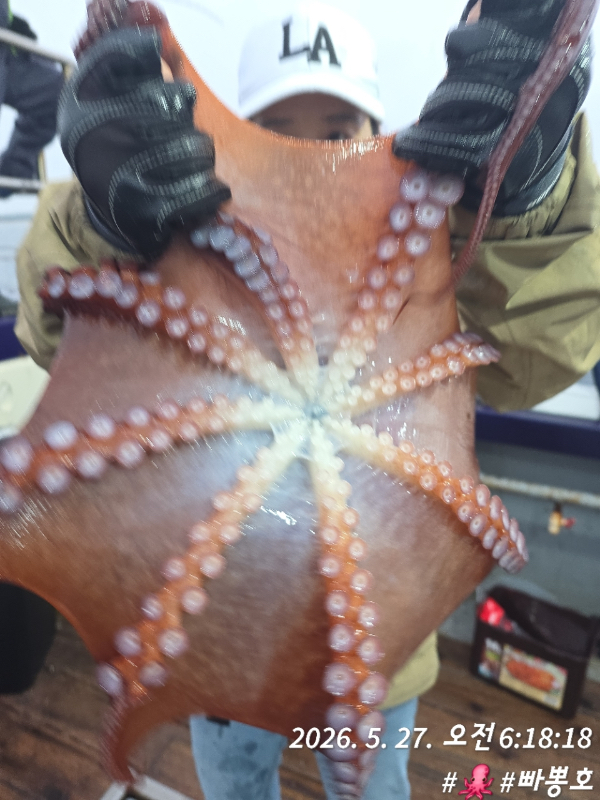 3F953B17-0864-42CF-8E42-E6C4B445BD77.jpeg