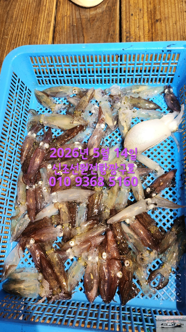 KakaoTalk_20260514_013527494_01.jpg