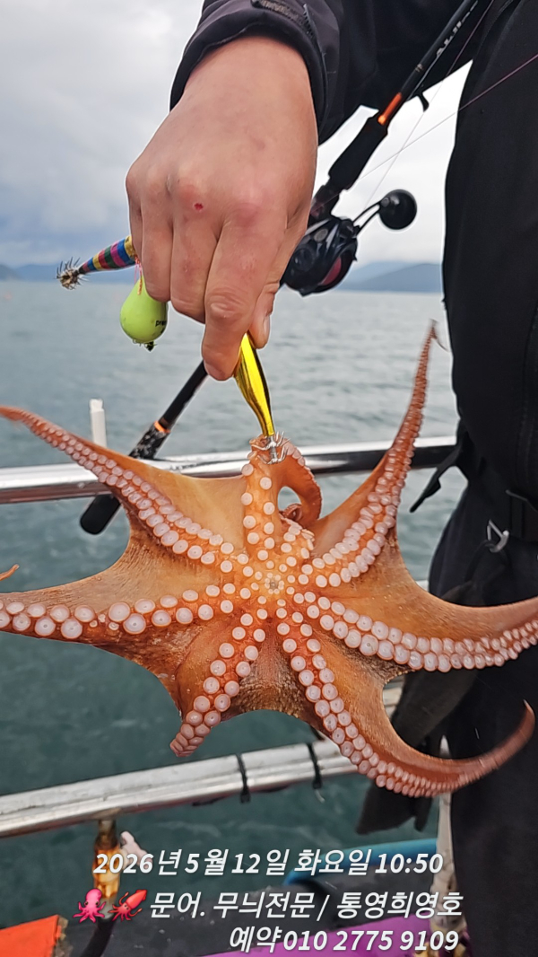 58819.jpg