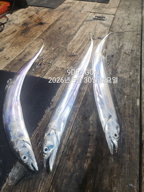 53EC3C88-A4BC-4EB8-A148-9802FD13DDE5.jpeg