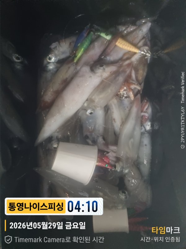 2026-05-29 04.10.20__(제목-통영나이스피싱).jpg