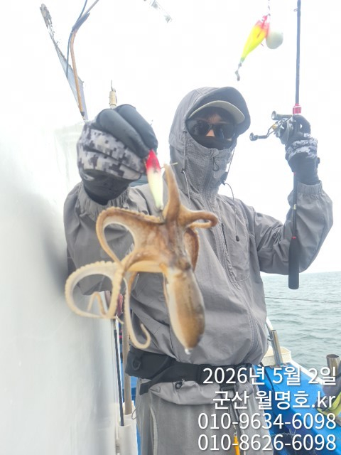 5386.jpg