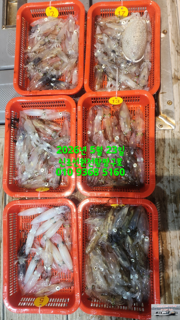 KakaoTalk_20260523_034914714_03.jpg