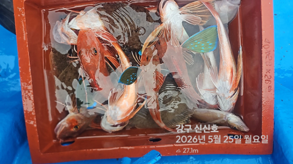 신신낚시 강구점 신신호_사진_20260525_12.jpg