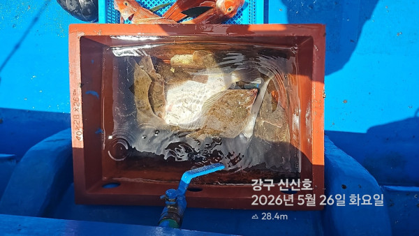 신신낚시 강구점 신신호_사진_20260526_7.jpg