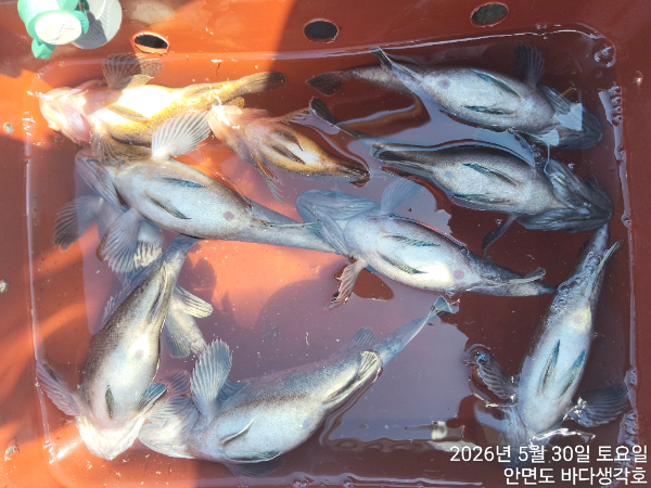 KakaoTalk_20260530_123317838.jpg