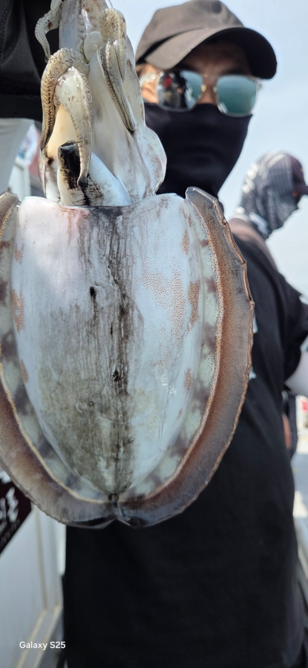 BandPhoto_2026_05_26_10_34_16_9.jpg
