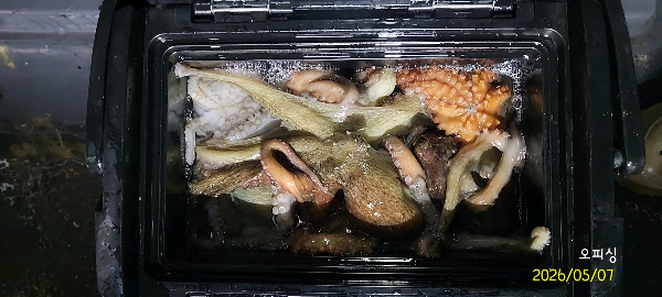 DateCamera0507034115.jpg