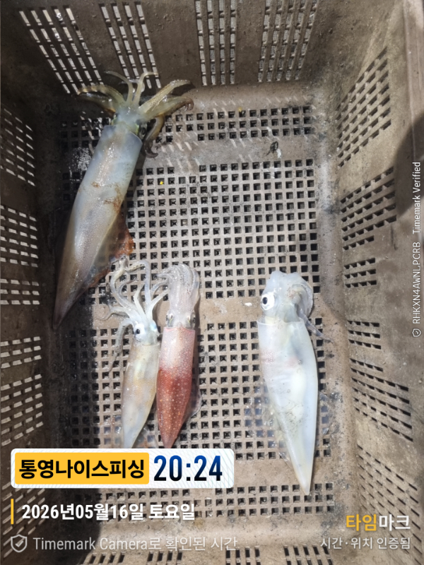 2026-05-16 20.24.41__(제목-통영나이스피싱).jpg