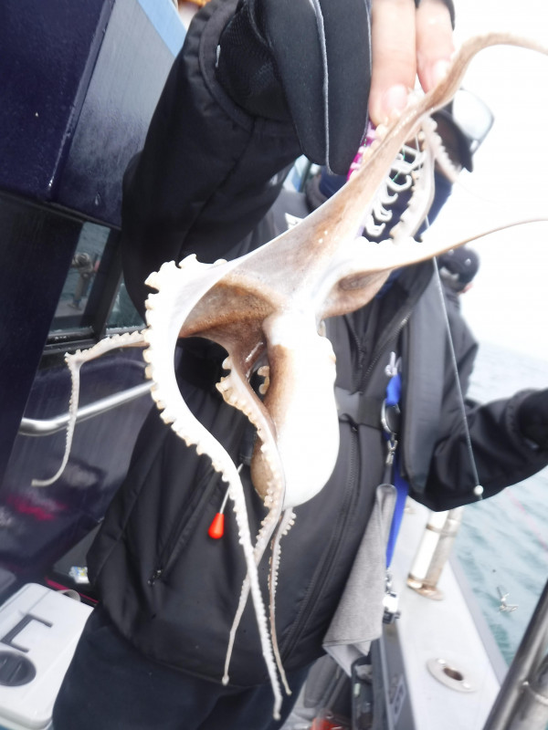 DSCF5756.JPG
