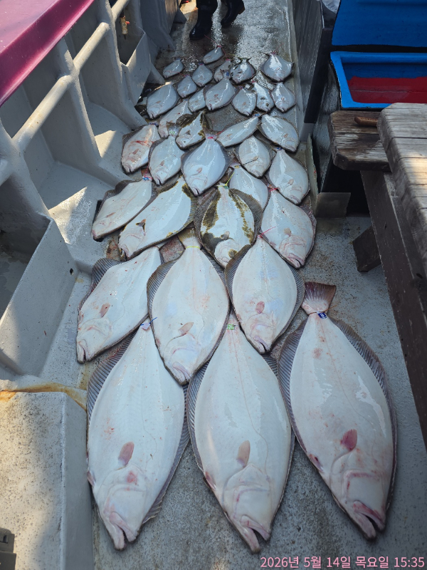 1778749348650.jpg