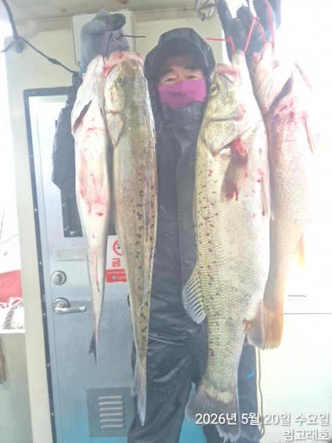 KakaoTalk_20260520_125935234_08.jpg