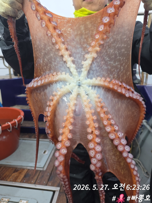 583B4C00-C8D3-4E93-A189-E8491CF6AE44.jpeg