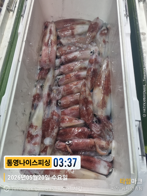 2026-05-20 03.37.39__(제목-통영나이스피싱).jpg