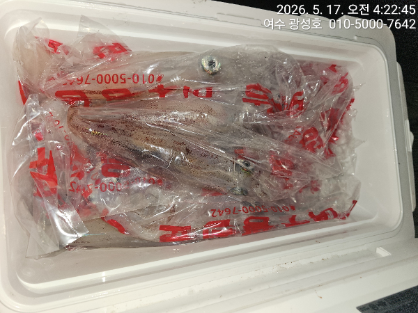 KakaoTalk_20260517_141640460_11.jpg