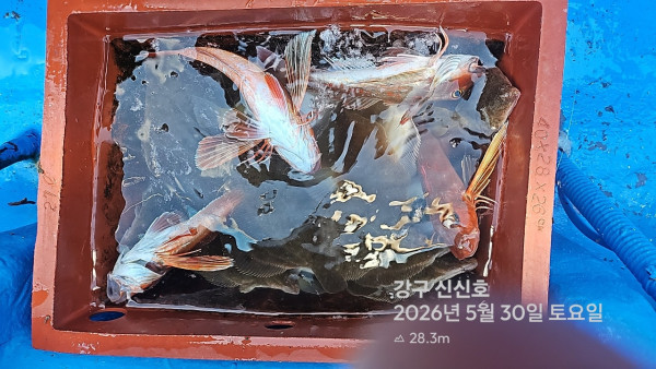 신신낚시 강구점 신신호_사진_20260530_17.jpg