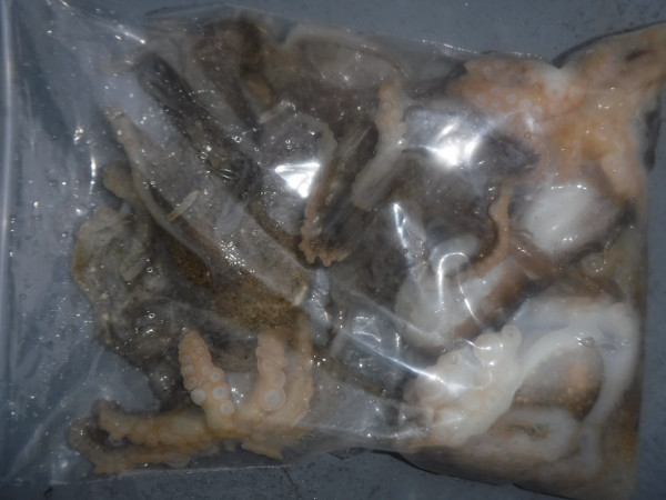 DSCF5762.JPG