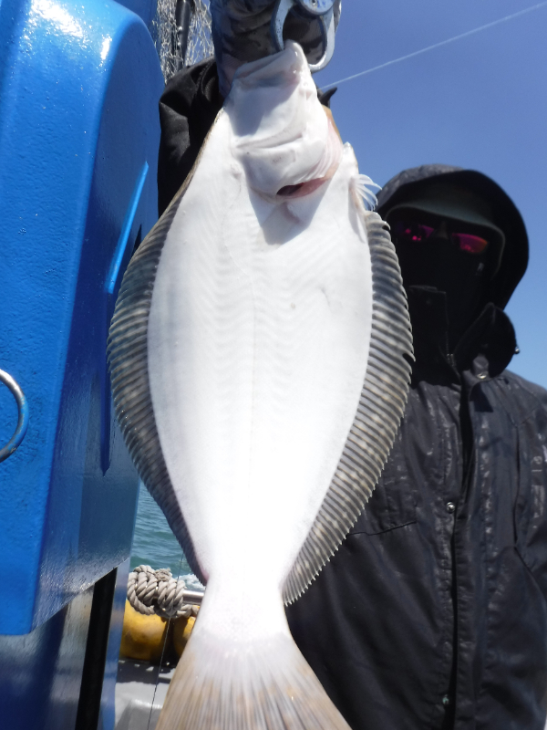 DSCF5686.JPG