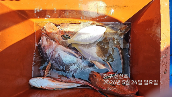 신신낚시 강구점 신신호_사진_20260524_19.jpg