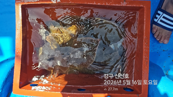 신신낚시 강구점 신신호_사진_20260516_20.jpg