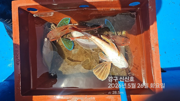 신신낚시 강구점 신신호_사진_20260526_16.jpg
