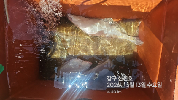신신낚시 강구점 신신호_사진_20260513_11.jpg