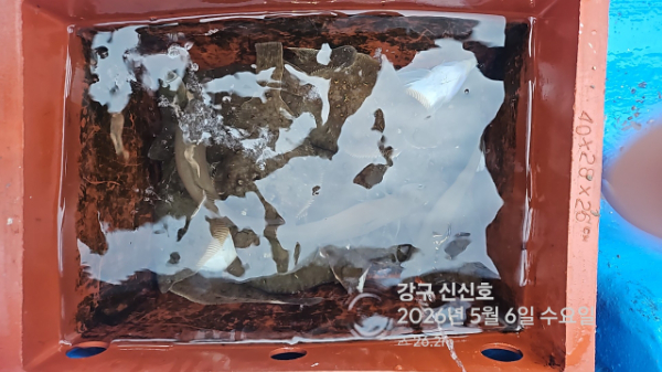신신낚시 강구점 신신호_사진_20260506_16.jpg