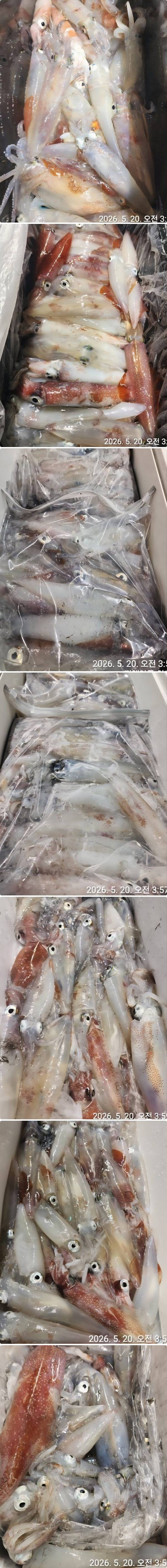 한치상.jpg
