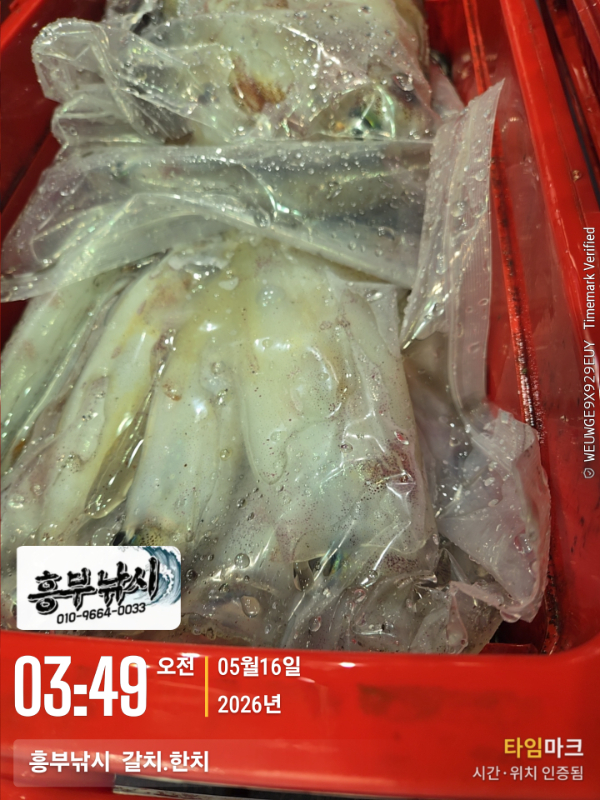 2026-05-16 03.49.17__(-흥부낚시  갈치.한치).jpg
