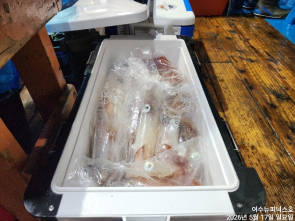 5월17일한치 (32).jpg