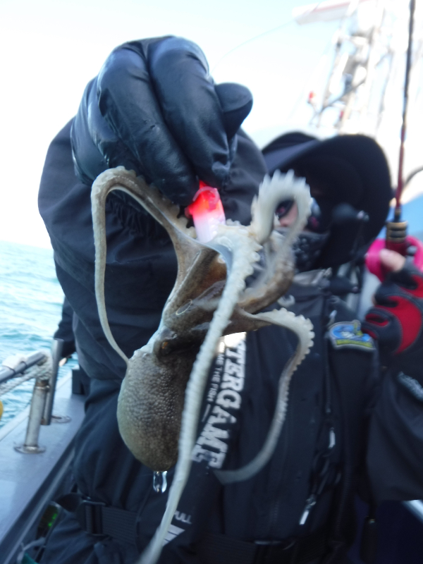 DSCF5681.JPG