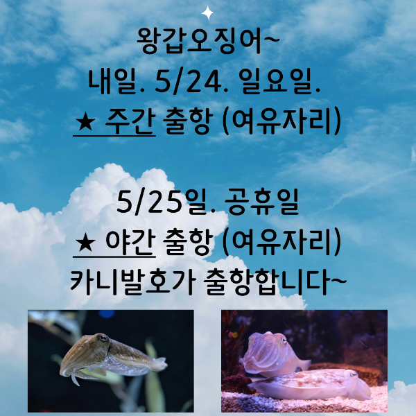 KakaoTalk_20260523_170510892_14.png