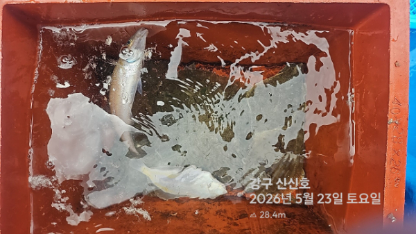 신신낚시 강구점 신신호_사진_20260523_9.jpg