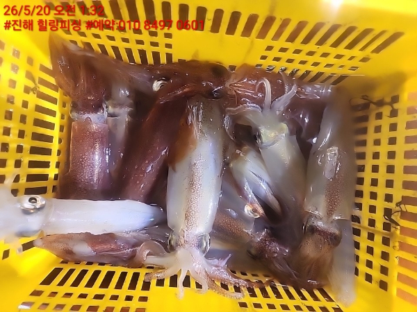 KakaoTalk_20260521_174339986_06.jpg